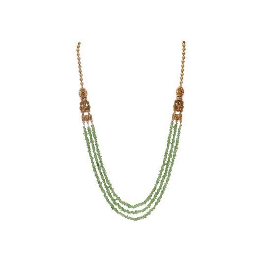 The Green Kalpavriksha - TTDevassy